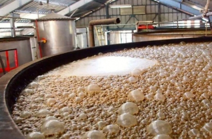  Defoamer for Fermentation Industry 