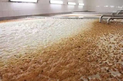 Polydimethylsiloxane defoamer for Microbial Fermentation RA-8130